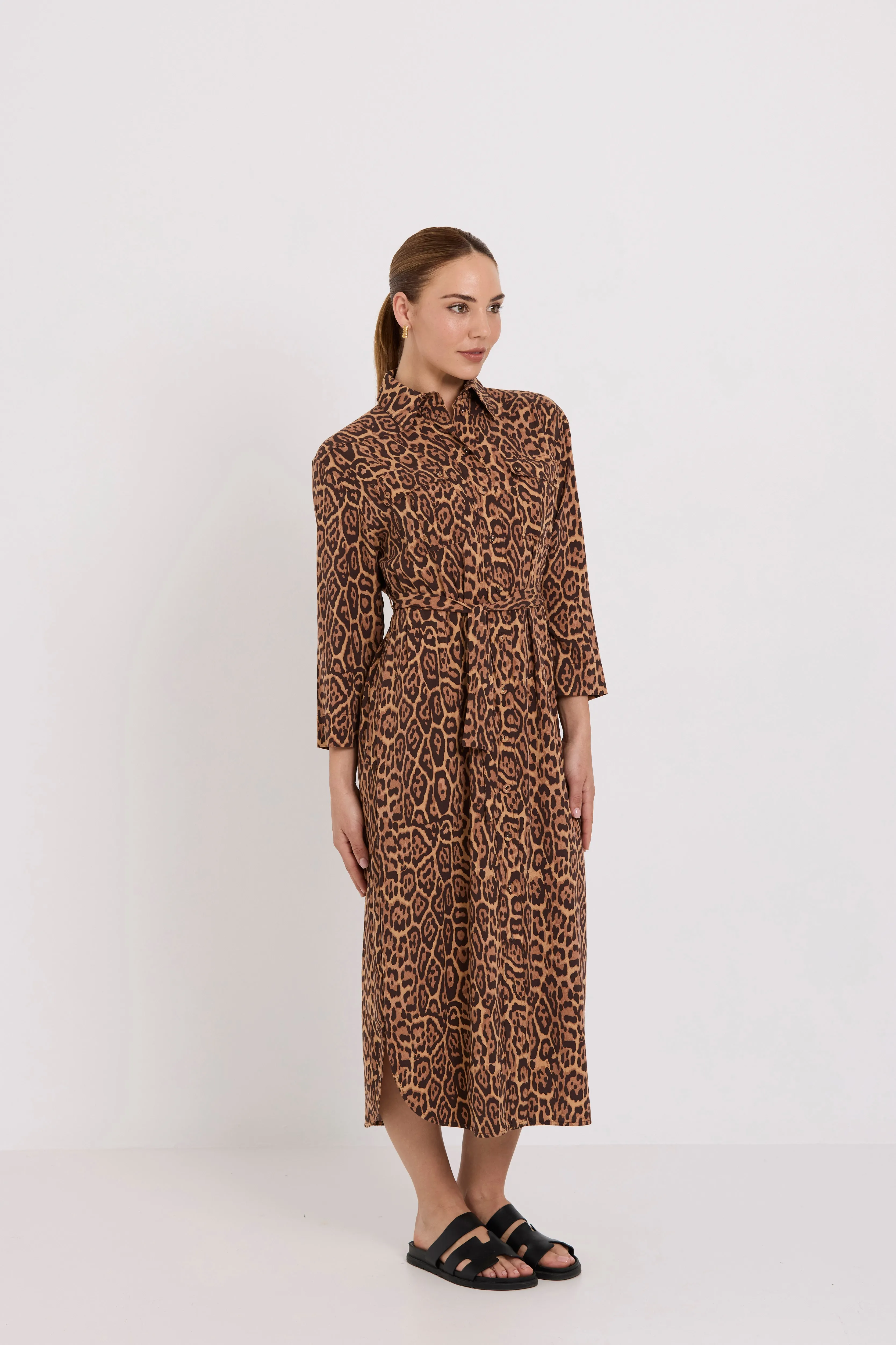 Julia Shirt Dress | Jaguar