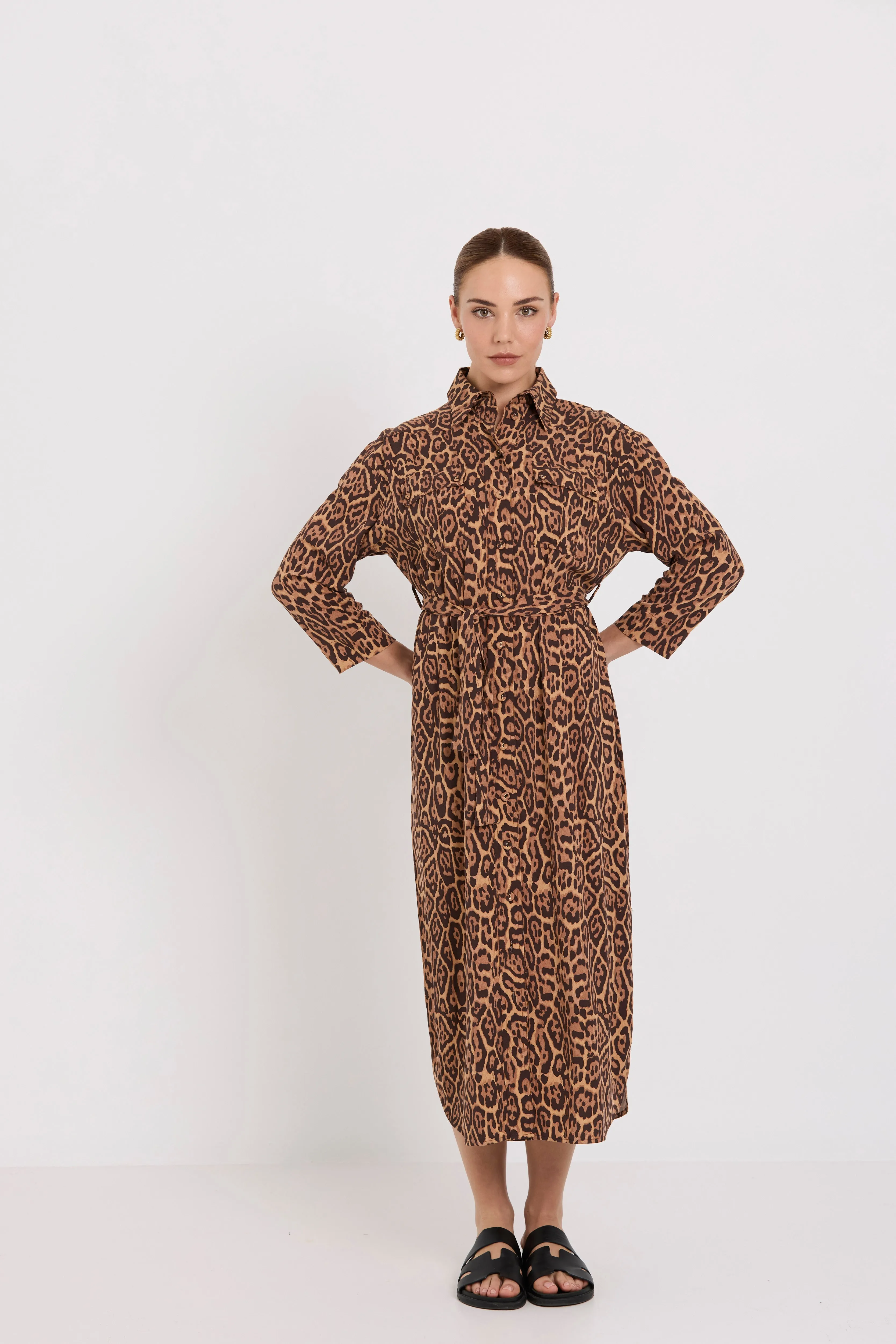 Julia Shirt Dress | Jaguar