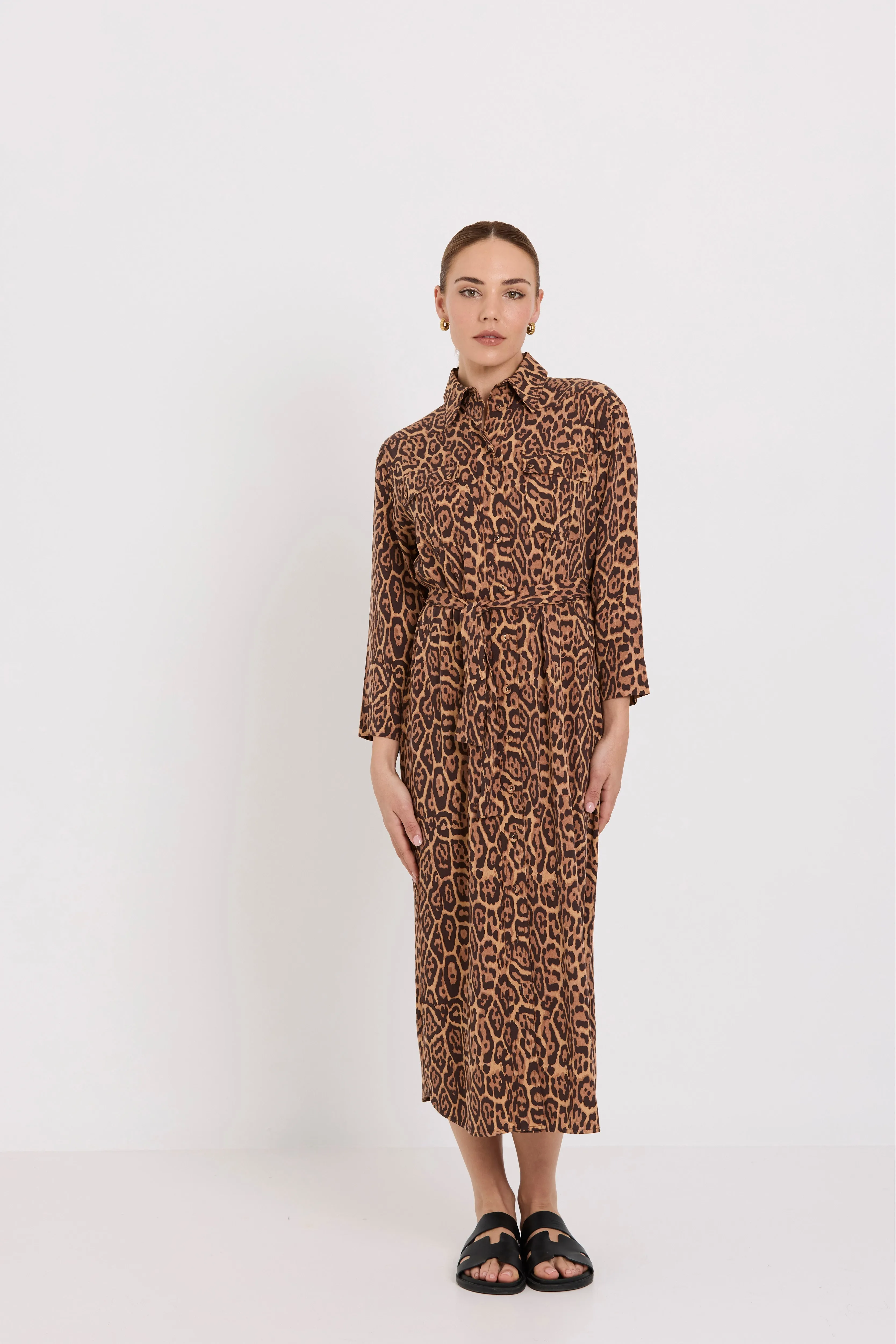 Julia Shirt Dress | Jaguar