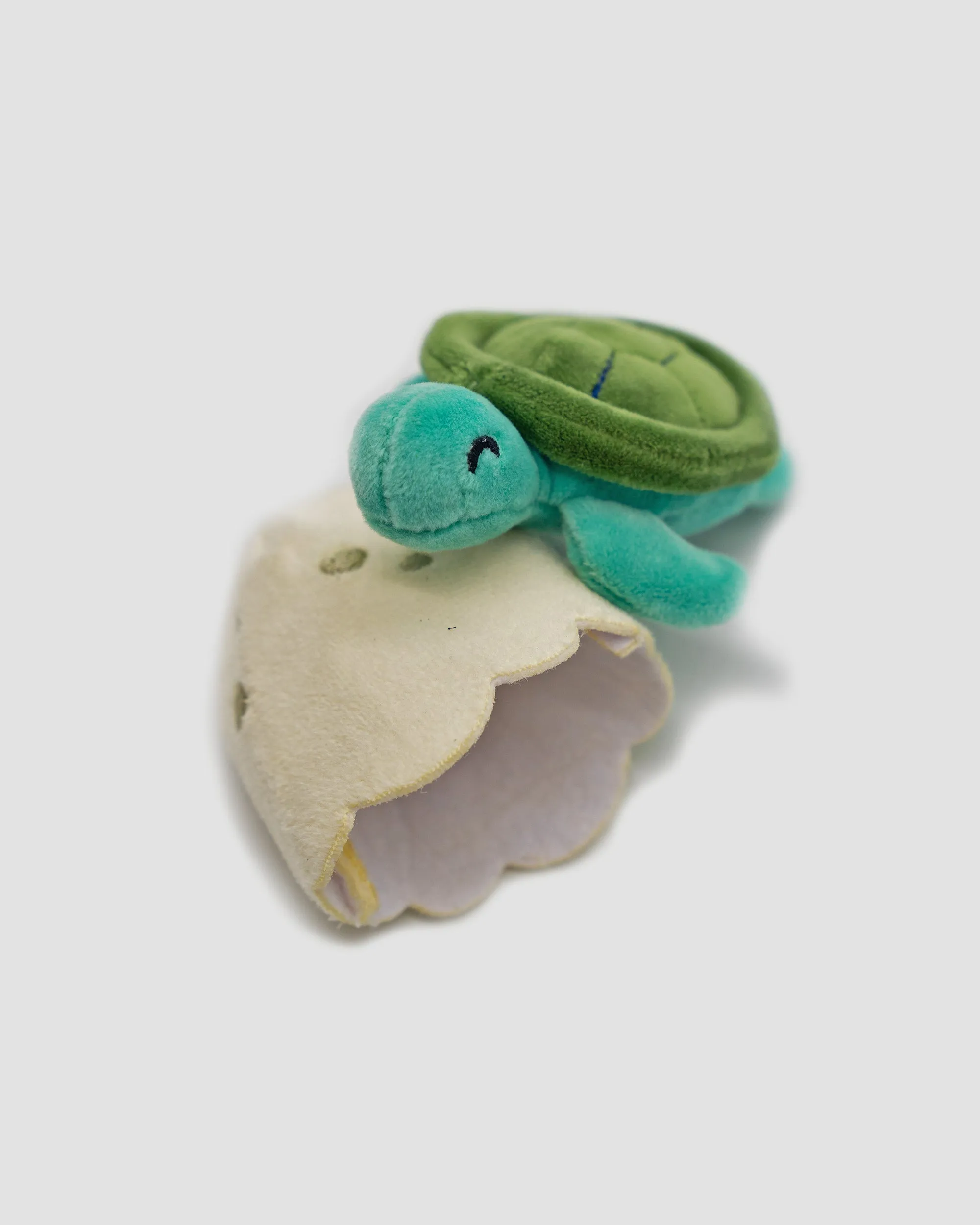 Sea Turtle Hatchling Plushies