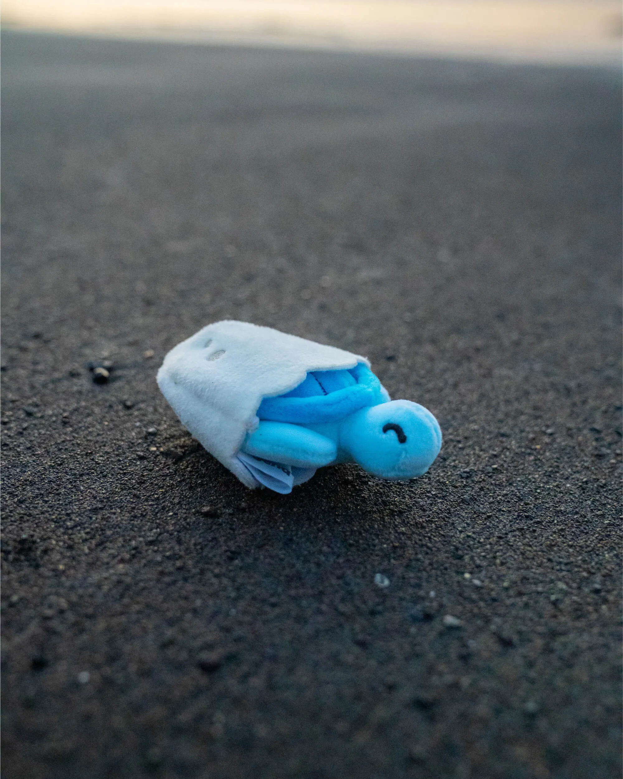 Sea Turtle Hatchling Plushies